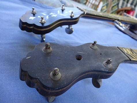 Windsor Premier No.1 5-string
